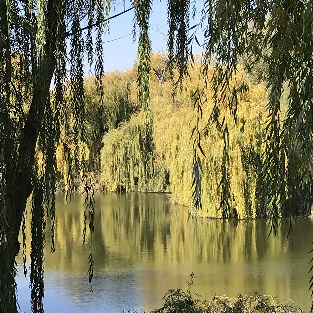 Volkspark Laaerberg