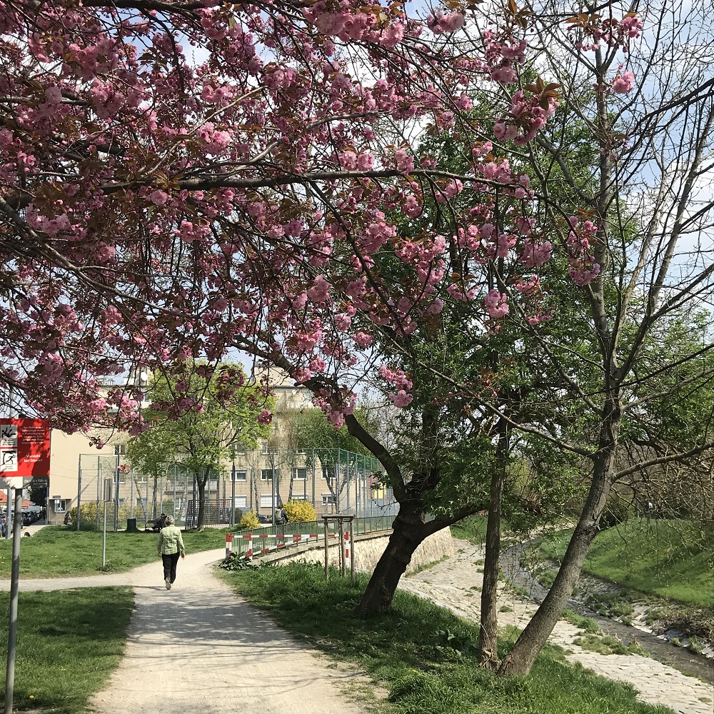 Liesing-Radweg Liesing-Radweg