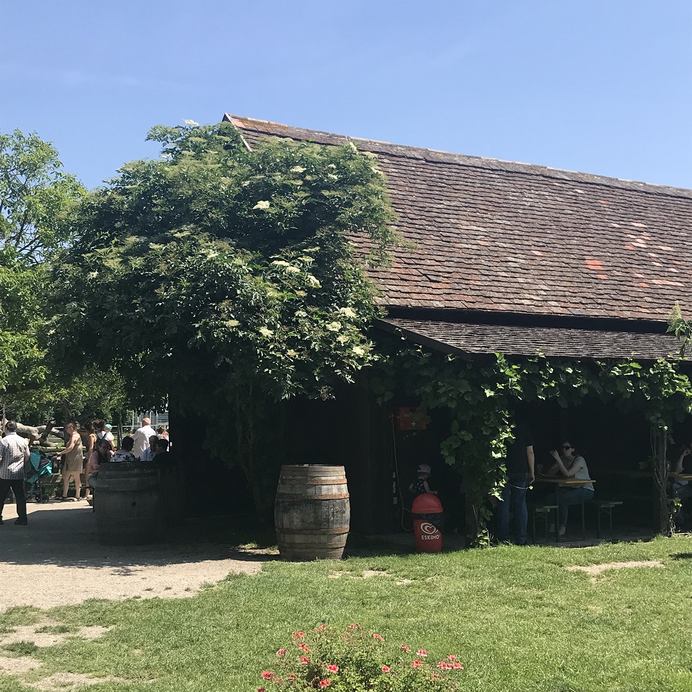Bauernhof Bauernhof