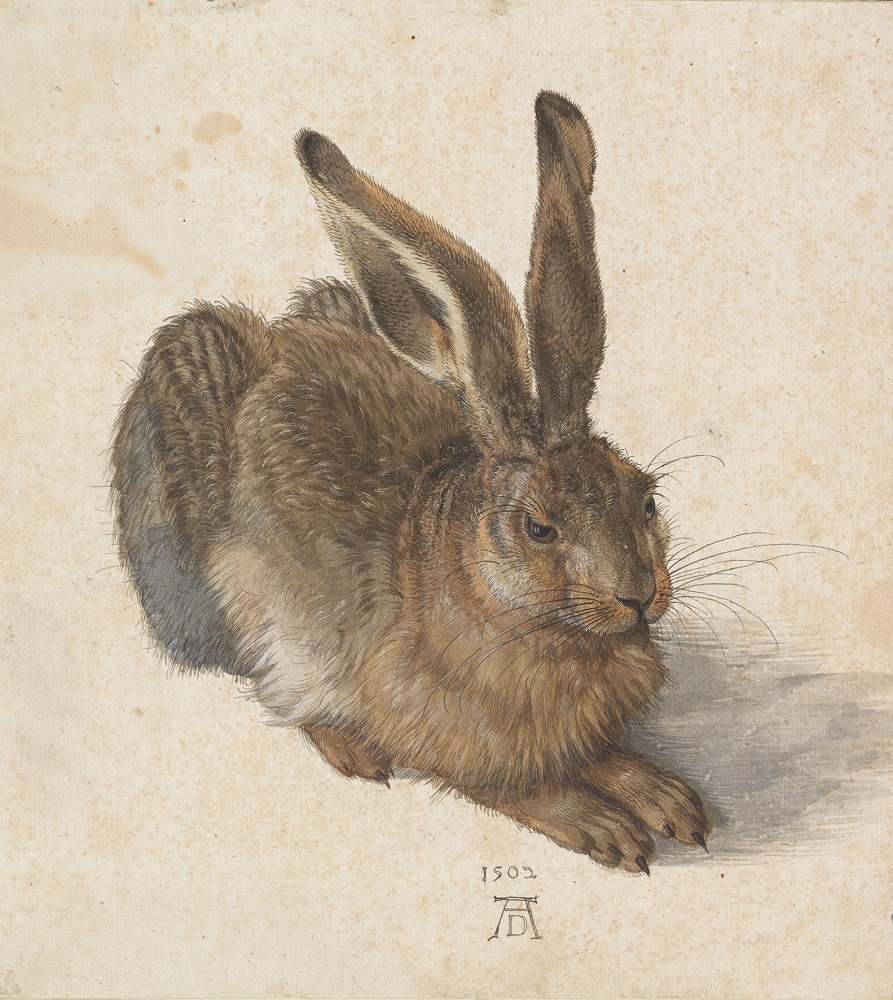 Albrecht Dürer Feldhase, 1502 Aquarell und Deckfarben, Pinsel, mit Deckweiß erhöht © Albertina, Wien