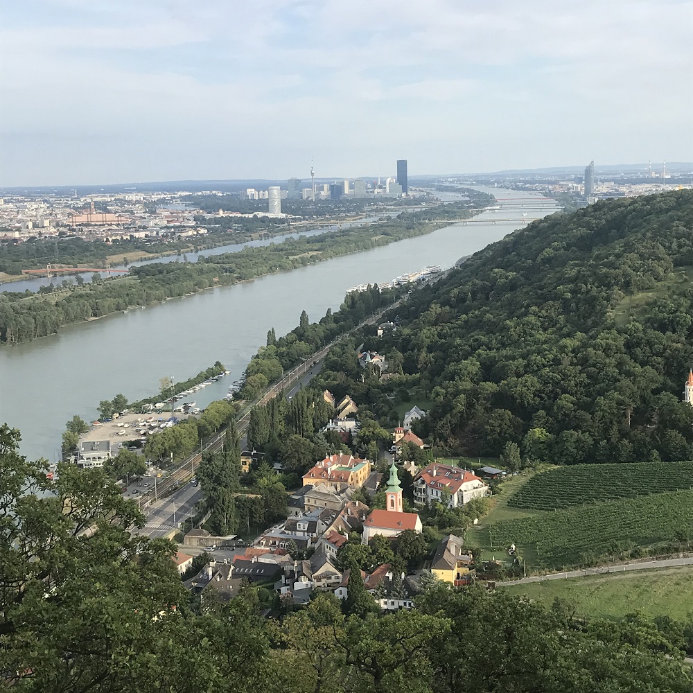 Blick vom Leopoldsbergauf Wien