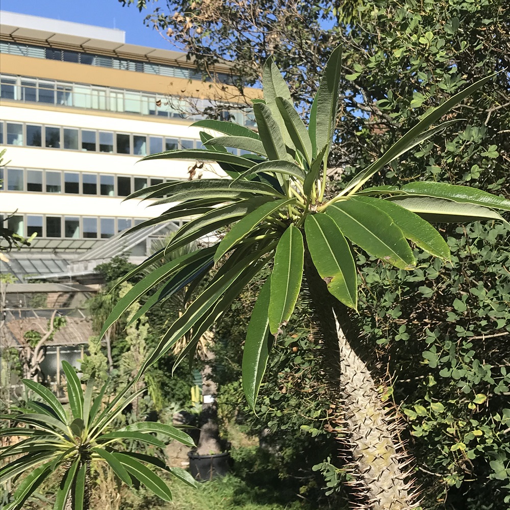 Botanischer Garten