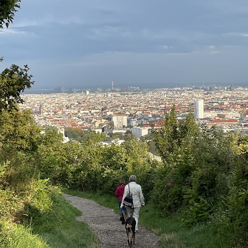 Weg zumHeurigen Leitnern